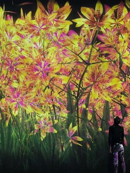 ARTS & CULTURE & ENTERTAINMENT | The New Digital – Art Museum Is Coming To Saudi&nbsp;Arabia