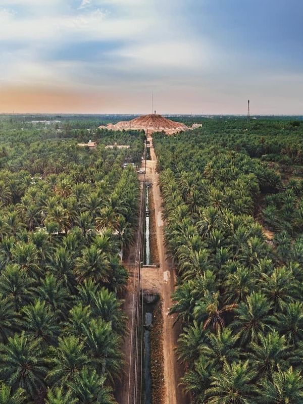 TRAVEL | Guinness Registers Al-Asha As World Largest&nbsp;Oasis