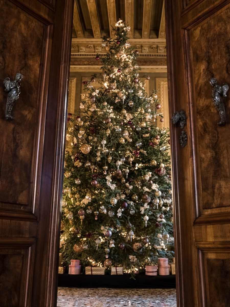 Unlocking Digestive Wellness: 9 Nutrient-Packed Foods for Holiday&nbsp;Vitality