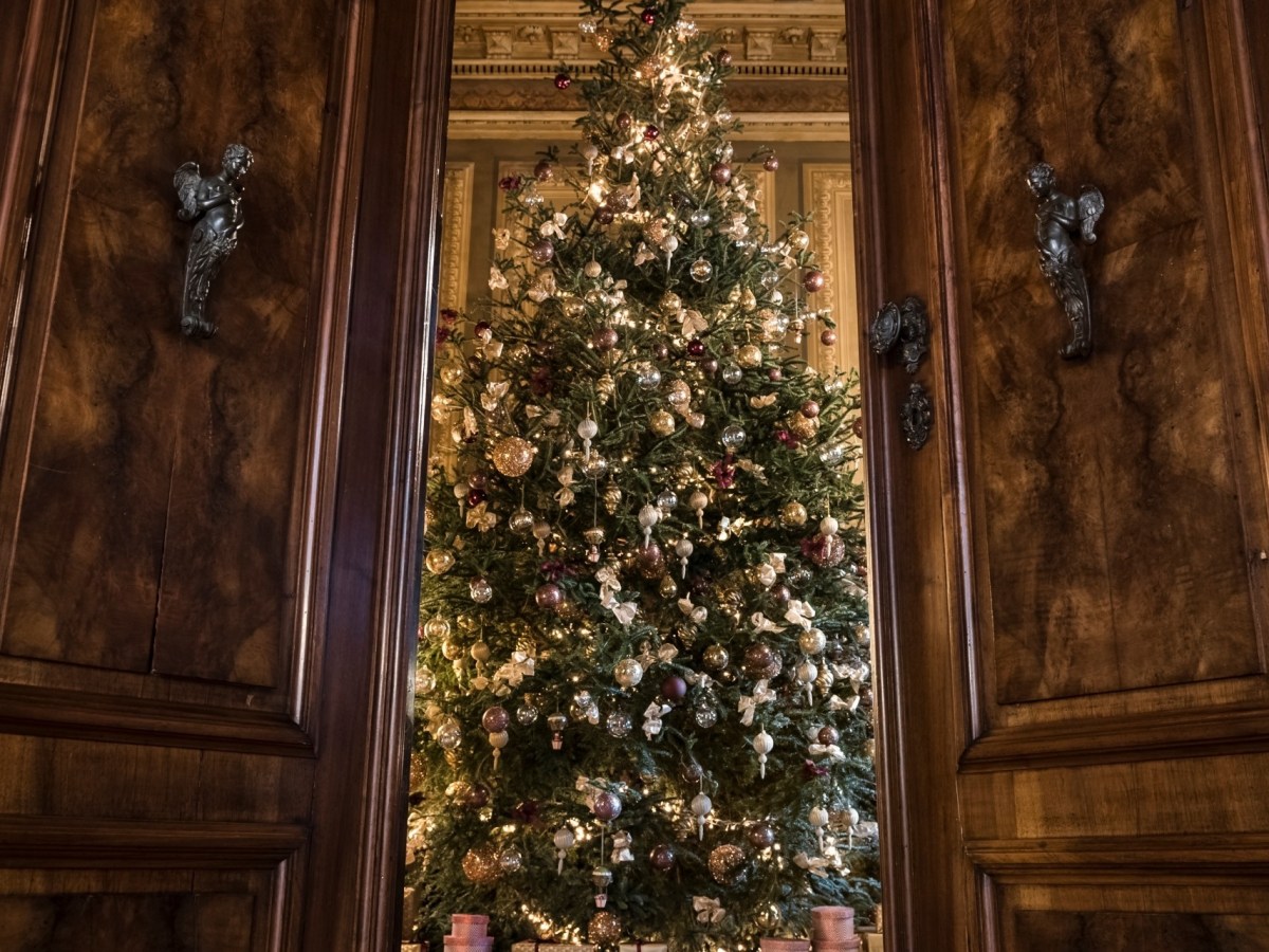 Unlocking Digestive Wellness: 9 Nutrient-Packed Foods for Holiday&nbsp;Vitality